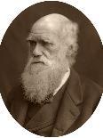 Charles Darwin, British Naturalist, 1878-Lock & Whitfield-Photographic Print