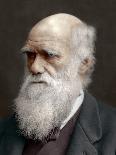 Charles Darwin, 1878-Lock & Whitfield-Photographic Print