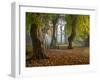 Locke Park-Craig Roberts-Framed Photographic Print