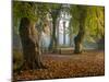 Locke Park-Craig Roberts-Mounted Photographic Print