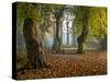 Locke Park-Craig Roberts-Stretched Canvas