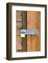 Locked Padlock on Shed-Chris Henderson-Framed Photographic Print