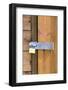 Locked Padlock on Shed-Chris Henderson-Framed Photographic Print