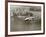 Lockheed Constellation, New York 1950-Clyde Sunderland-Framed Giclee Print