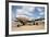 Lockheed L-049 'Constellation', Tucson, Arizona, USA-Jamie & Judy Wild-Framed Photographic Print