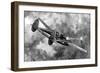 Lockheed P-38 'Lightning' in Action; Second World War, 1944-null-Framed Art Print