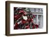 Locks Line the Bridge, Keys are Tossed in as a Symbol of Love, Moscow, Russia-Kymri Wilt-Framed Photographic Print