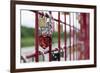 Locks of love, Maribor, Slovenia, Europe-Sergio Pitamitz-Framed Photographic Print