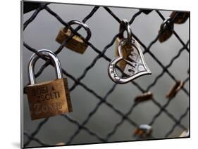 Locks on the Bridges of Paris are Quite Popular for Couples to Manifest their Wish for Eternal Love-David Bank-Mounted Photographic Print