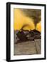 Locomotive Fireman in Coal Car Waving to an Oncoming Train, Early 1900s-null-Framed Giclee Print
