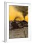 Locomotive Fireman in Coal Car Waving to an Oncoming Train, Early 1900s-null-Framed Giclee Print