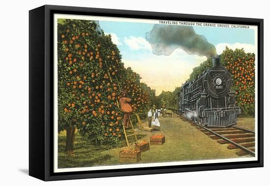 Locomotive Going through Orange Graves-null-Framed Stretched Canvas