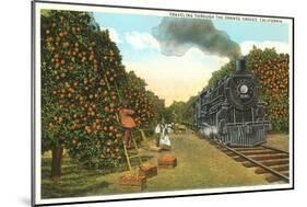 Locomotive Going through Orange Graves-null-Mounted Art Print