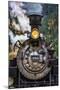 Locomotive I-Kathy Mahan-Mounted Photographic Print