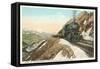 Locomotive on Continental Divide-null-Framed Stretched Canvas