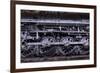 Locomotive-Steven Maxx-Framed Photographic Print