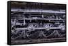 Locomotive-Steven Maxx-Framed Stretched Canvas