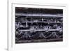 Locomotive-Steven Maxx-Framed Photographic Print