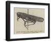 Locust Captured in the Strand, 28 August-null-Framed Giclee Print