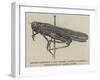 Locust Captured in the Strand, 28 August-null-Framed Giclee Print