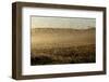 Locust Plague (Locusta Migratoria Capito) Threatens Crops in South Madagascar, June 2010-Inaki Relanzon-Framed Photographic Print