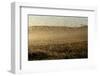 Locust Plague (Locusta Migratoria Capito) Threatens Crops in South Madagascar, June 2010-Inaki Relanzon-Framed Photographic Print