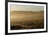 Locust Plague (Locusta Migratoria Capito) Threatens Crops in South Madagascar, June 2010-Inaki Relanzon-Framed Photographic Print