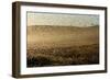 Locust Plague (Locusta Migratoria Capito) Threatens Crops in South Madagascar, June 2010-Inaki Relanzon-Framed Photographic Print