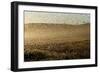 Locust Plague (Locusta Migratoria Capito) Threatens Crops in South Madagascar, June 2010-Inaki Relanzon-Framed Photographic Print