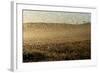 Locust Plague (Locusta Migratoria Capito) Threatens Crops in South Madagascar, June 2010-Inaki Relanzon-Framed Photographic Print