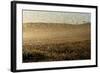 Locust Plague (Locusta Migratoria Capito) Threatens Crops in South Madagascar, June 2010-Inaki Relanzon-Framed Photographic Print