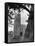 Loddon Church-null-Framed Stretched Canvas