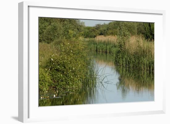 Lode (Waterway) on Wicken Fen, Cambridgeshire, UK, June 2011-Terry Whittaker-Framed Photographic Print