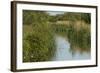 Lode (Waterway) on Wicken Fen, Cambridgeshire, UK, June 2011-Terry Whittaker-Framed Photographic Print