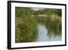 Lode (Waterway) on Wicken Fen, Cambridgeshire, UK, June 2011-Terry Whittaker-Framed Photographic Print