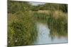 Lode (Waterway) on Wicken Fen, Cambridgeshire, UK, June 2011-Terry Whittaker-Mounted Photographic Print