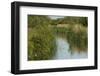 Lode (Waterway) on Wicken Fen, Cambridgeshire, UK, June 2011-Terry Whittaker-Framed Photographic Print