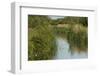 Lode (Waterway) on Wicken Fen, Cambridgeshire, UK, June 2011-Terry Whittaker-Framed Photographic Print