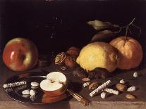 Still Life with Mice, 1619-Lodewik Susi-Framed Giclee Print