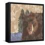 Lodge Bear-Nicholas Biscardi-Framed Stretched Canvas