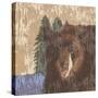 Lodge Bear-Nicholas Biscardi-Stretched Canvas