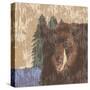 Lodge Bear-Nicholas Biscardi-Stretched Canvas