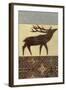 Lodge Elk-Norman Wyatt Jr.-Framed Art Print