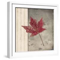 Lodge Leaf 1-LightBoxJournal-Framed Giclee Print