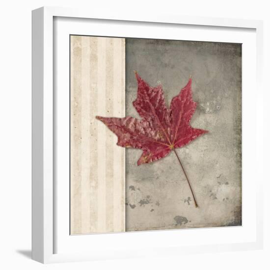 Lodge Leaf 1-LightBoxJournal-Framed Giclee Print