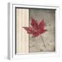 Lodge Leaf 1-LightBoxJournal-Framed Giclee Print