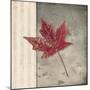 Lodge Leaf 1-LightBoxJournal-Mounted Giclee Print