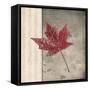 Lodge Leaf 1-LightBoxJournal-Framed Stretched Canvas