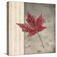 Lodge Leaf 1-LightBoxJournal-Stretched Canvas