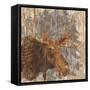 Lodge Moose-Nicholas Biscardi-Framed Stretched Canvas